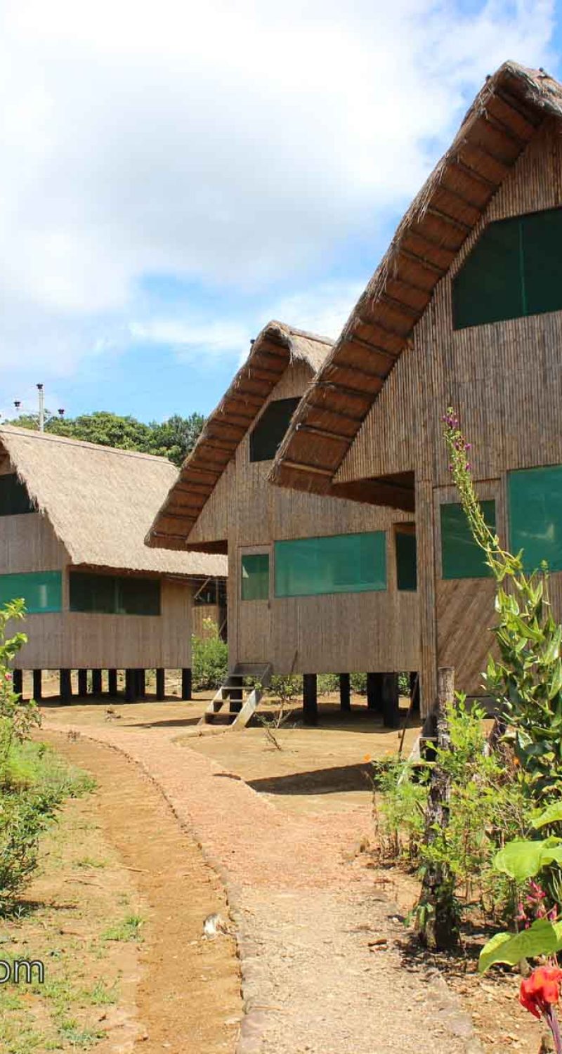 bamboo lodge